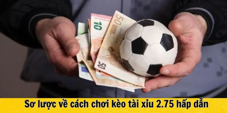 Hướng Dẫn Cách Chơi Kèo 2.75 Ăn Đủ Tiền Chi Tiết Nhất