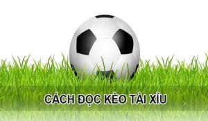 Hướng Dẫn Cách Chơi Kèo Tài Xỉu Bóng Đá Chuẩn Xác Nhất