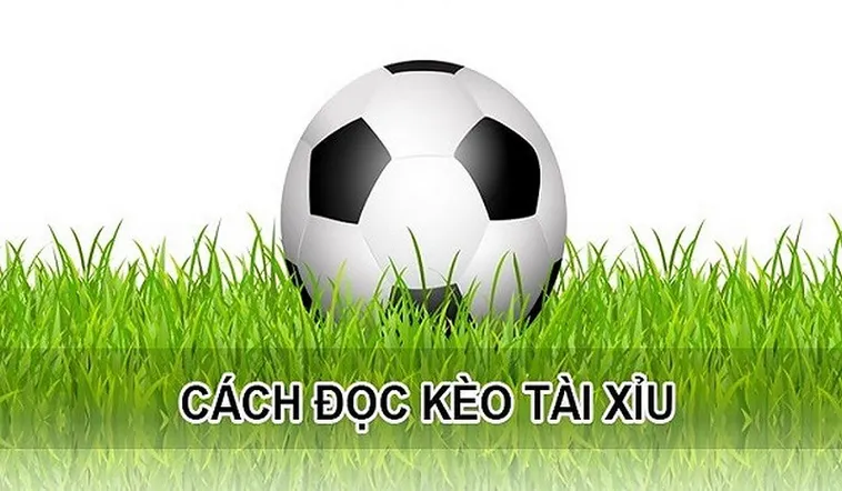 Hướng Dẫn Cách Chơi Kèo Tài Xỉu Bóng Đá Chuẩn Xác Nhất