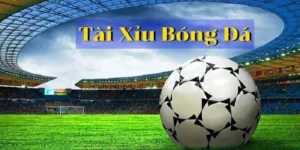 Bí Quyết Cách Chơi Kèo Tài Xỉu Bóng Đá Luôn Thắng Lớn