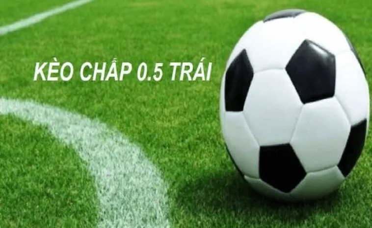 Cách Chơi Kèo Chấp 0.5 Chi Tiết Từ A Đến Z Cho Tân Thủ